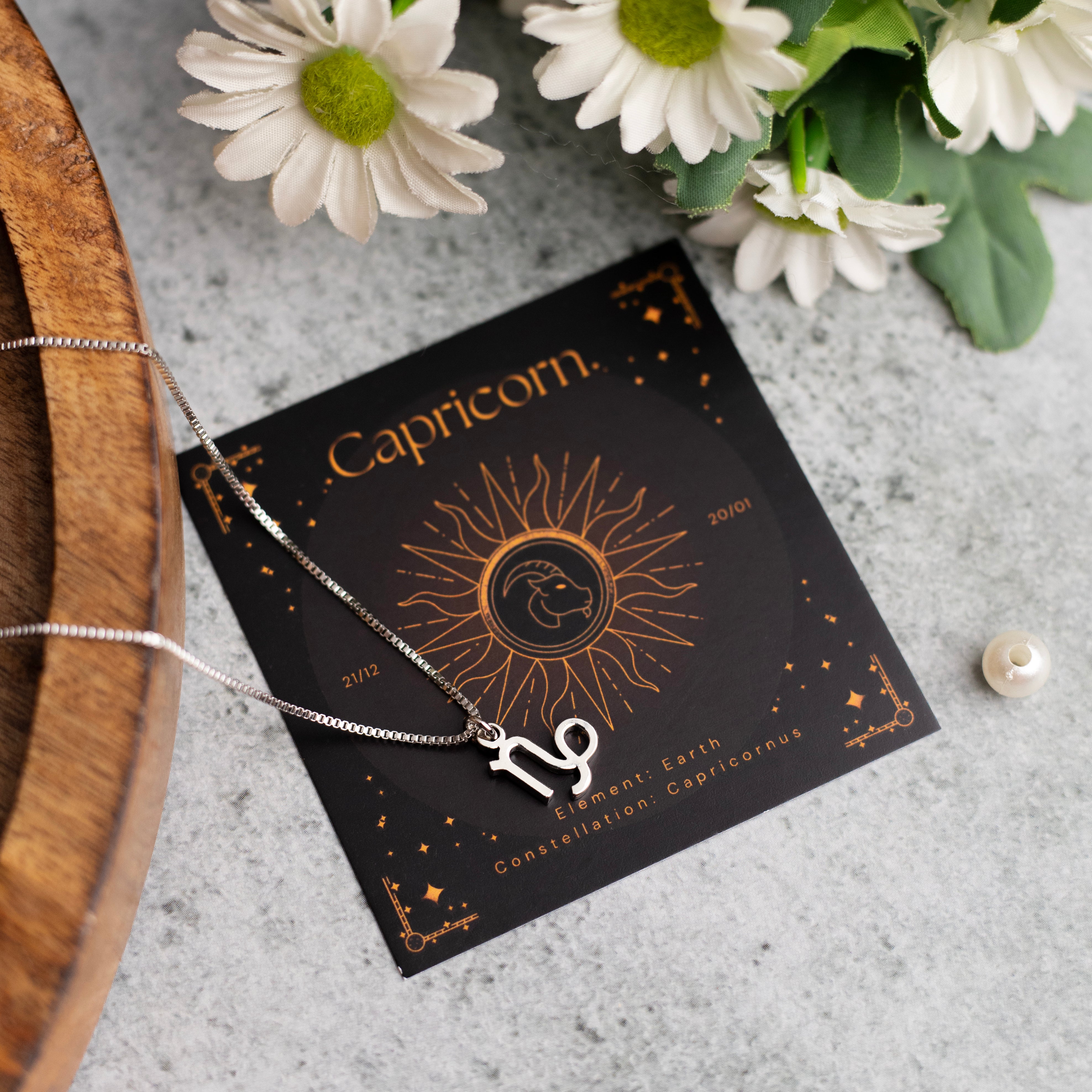 Capricorn Zodiac Necklace