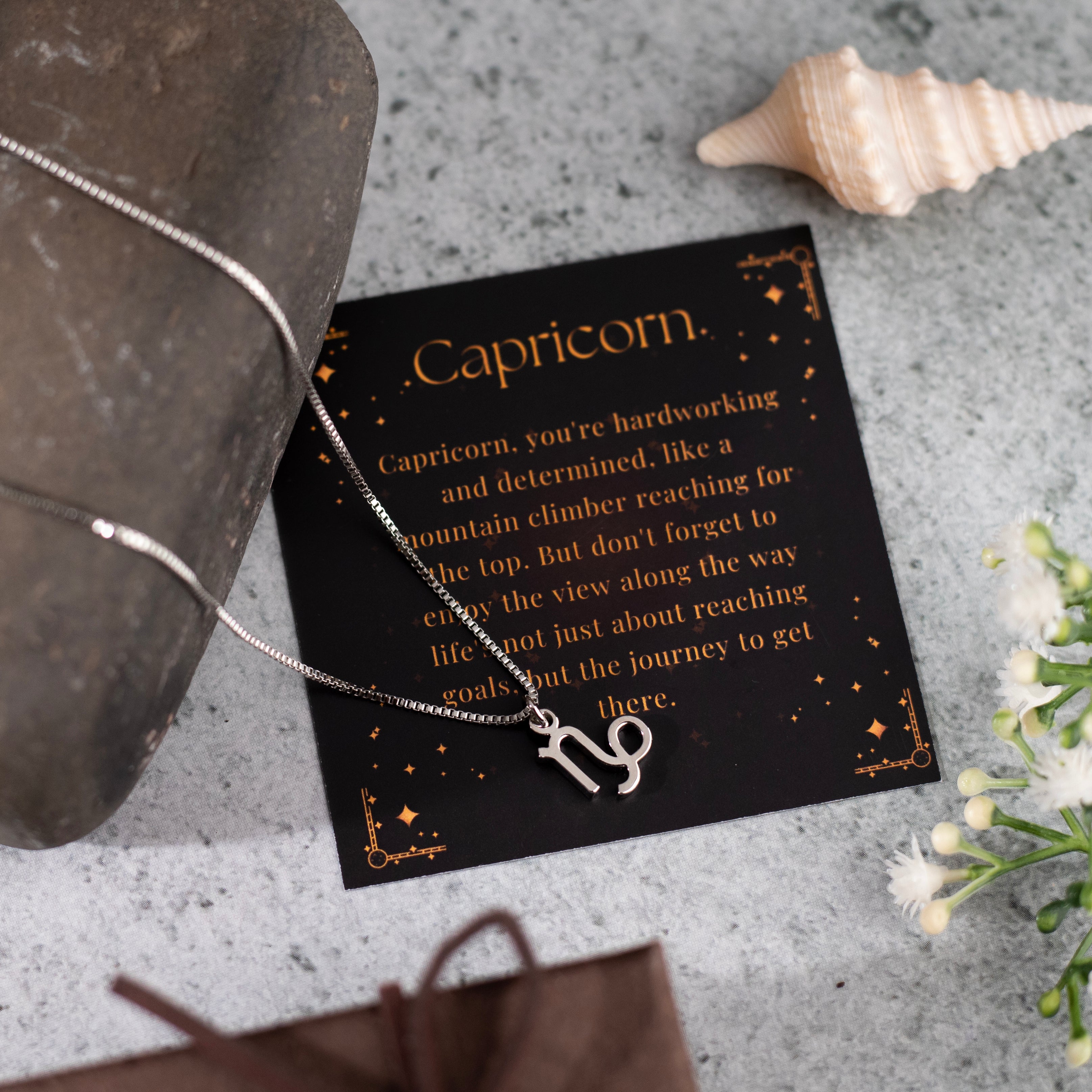 Capricorn Zodiac Necklace