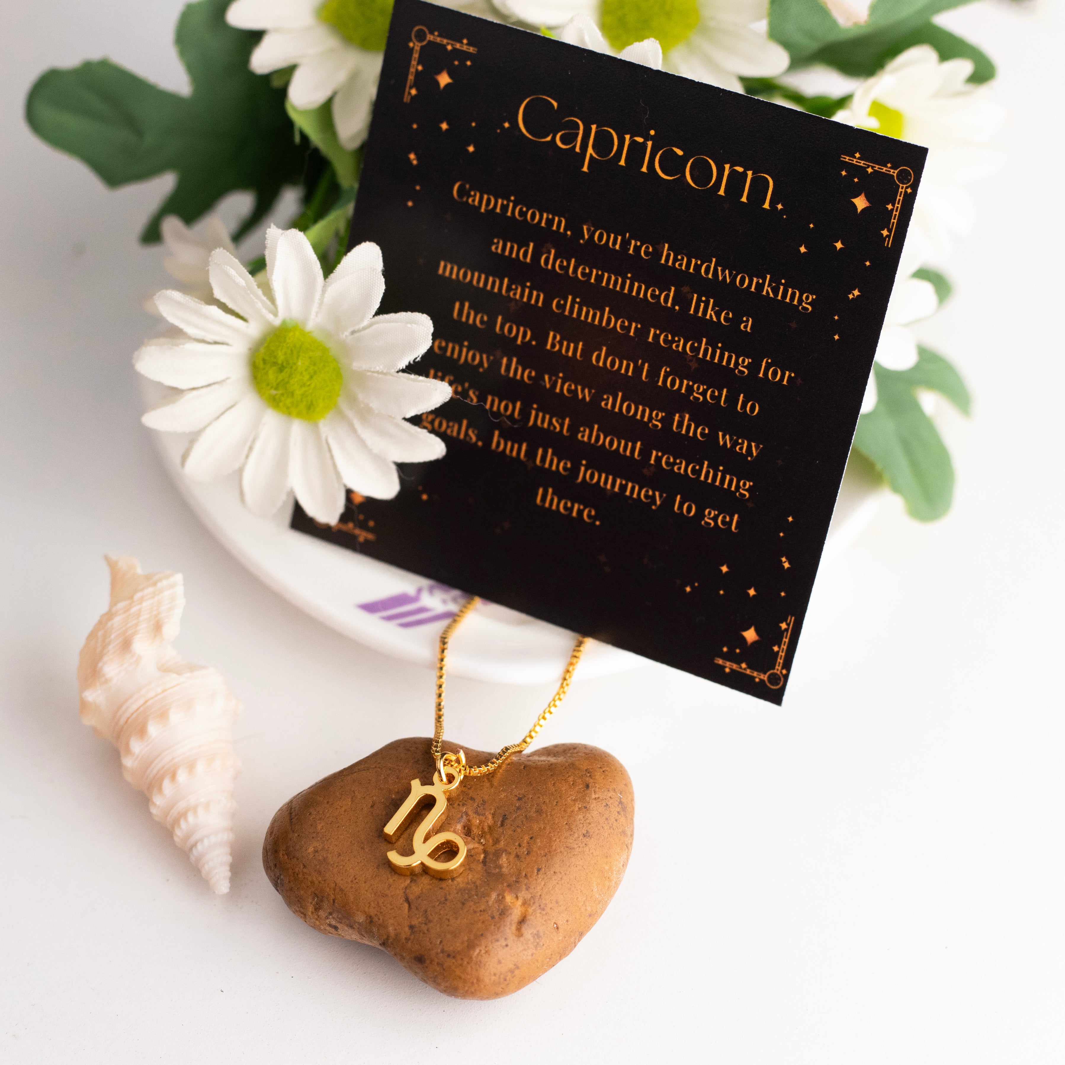 Capricorn Zodiac Necklace