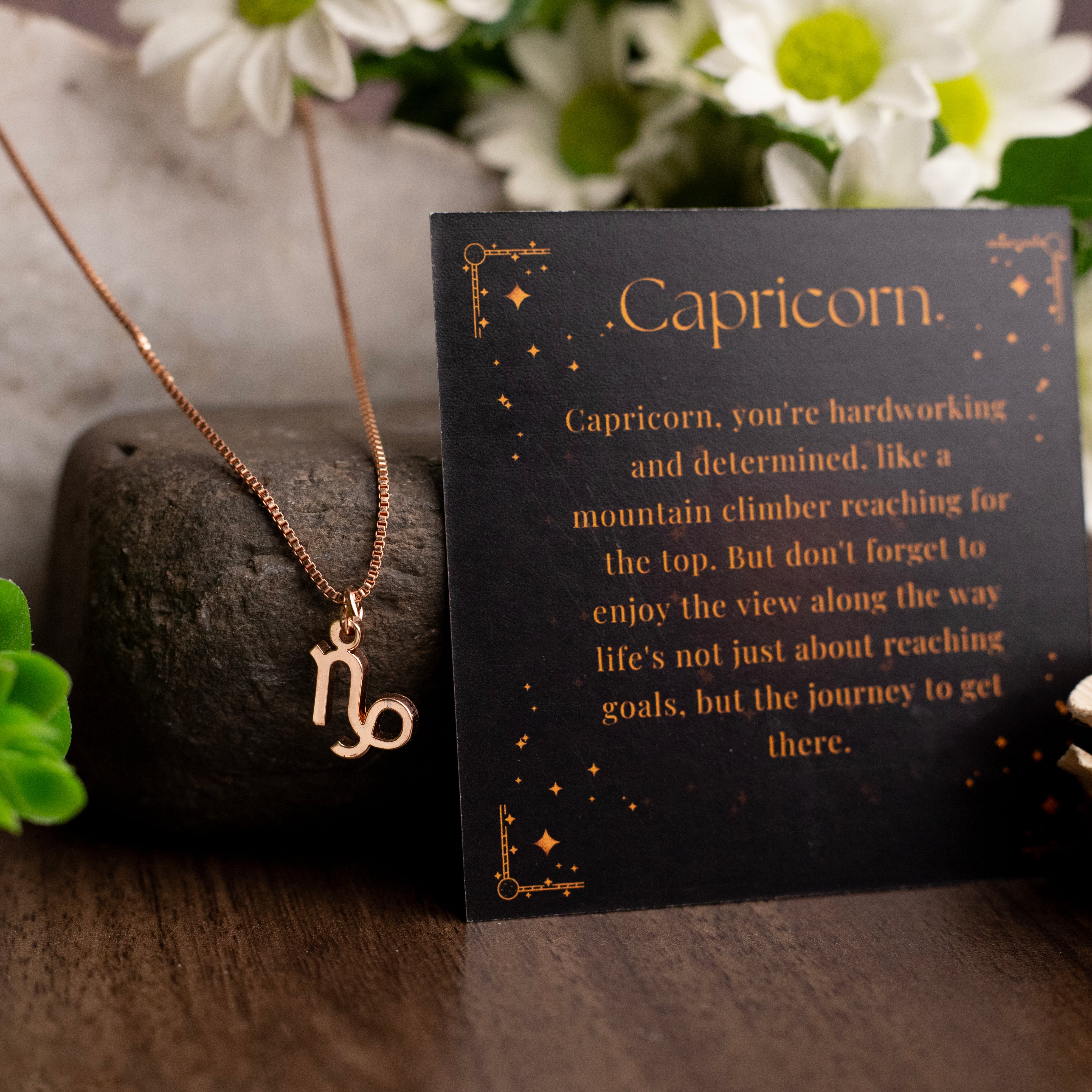 Capricorn Zodiac Necklace